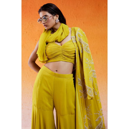 Redpine Designs Daisy Yellow Embroidered Jacket with Sharara and Bustier (Set of 3)