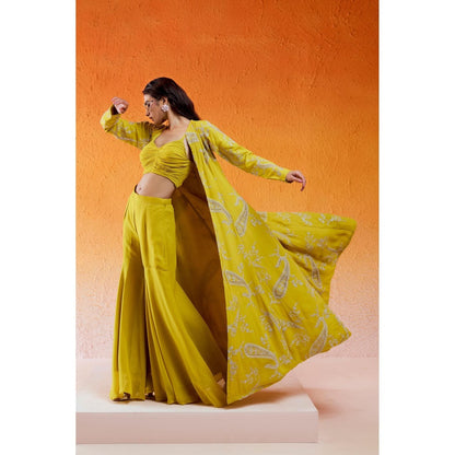 Redpine Designs Daisy Yellow Embroidered Jacket with Sharara and Bustier (Set of 3)