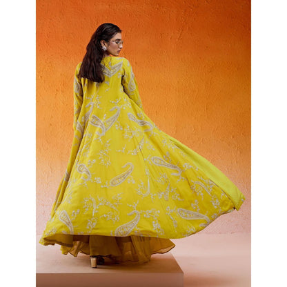 Redpine Designs Daisy Yellow Embroidered Jacket with Sharara and Bustier (Set of 3)