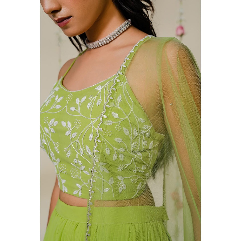 Redpine Designs Green Embroidered Sharara with Blouse and Dupatta (Set of 3)