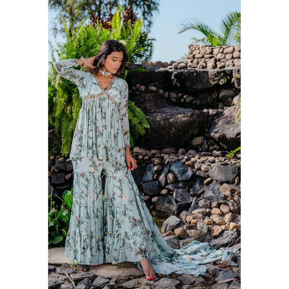 Redpine Designs Powder Blue Printed, Embroidered Sharara with Kurta and Dupatta (Set of 3)