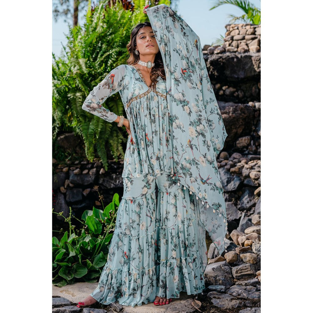 Redpine Designs Powder Blue Printed, Embroidered Sharara with Kurta and Dupatta (Set of 3)