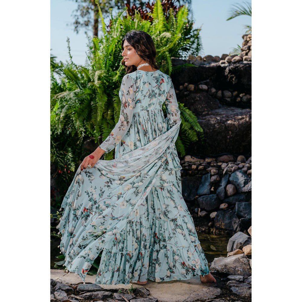 Redpine Designs Powder Blue Printed, Embroidered Sharara with Kurta and Dupatta (Set of 3)