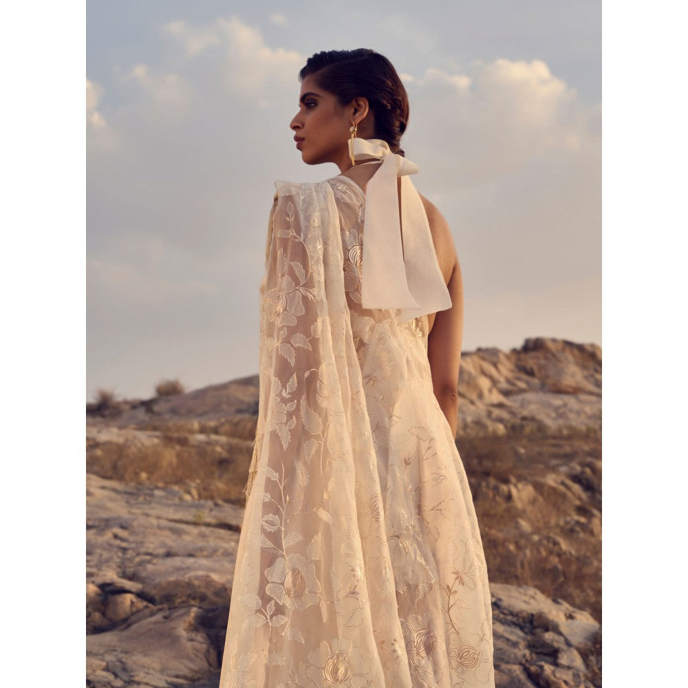 RENASCI Women Pre-Draped Saree with Stitched Blouse