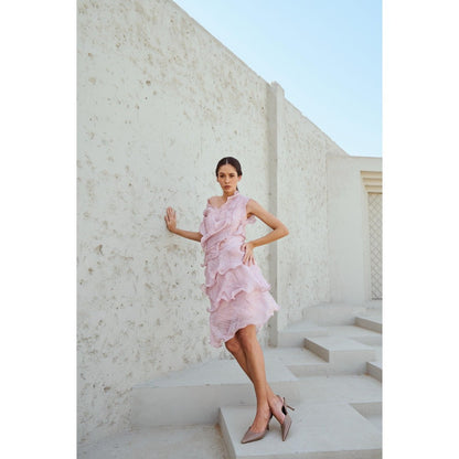 RENASCI Pink Self Design Swirl Knee Length Dress