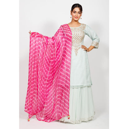 Rhapsody Jaipur Powder Blue Gotapatti Skirt (Set of 3)