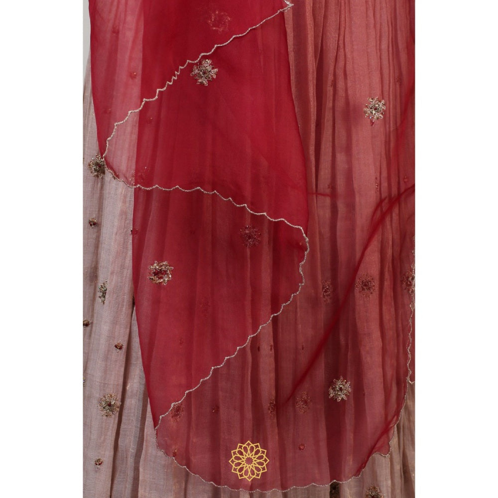 Rhua India Maroon Ishka Lehenga with Blouse and Dupatta (Set of 3)