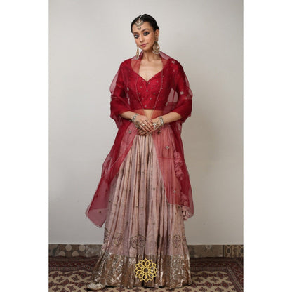 Rhua India Maroon Ishka Lehenga with Blouse and Dupatta (Set of 3)