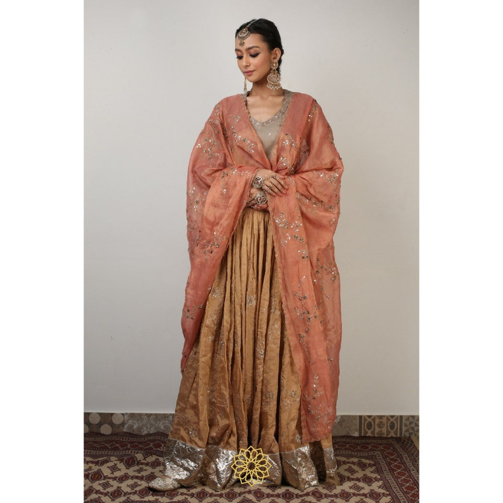 Rhua India Multi-Colour Rysa Lehenga with Blouse and Dupatta (Set of 3)