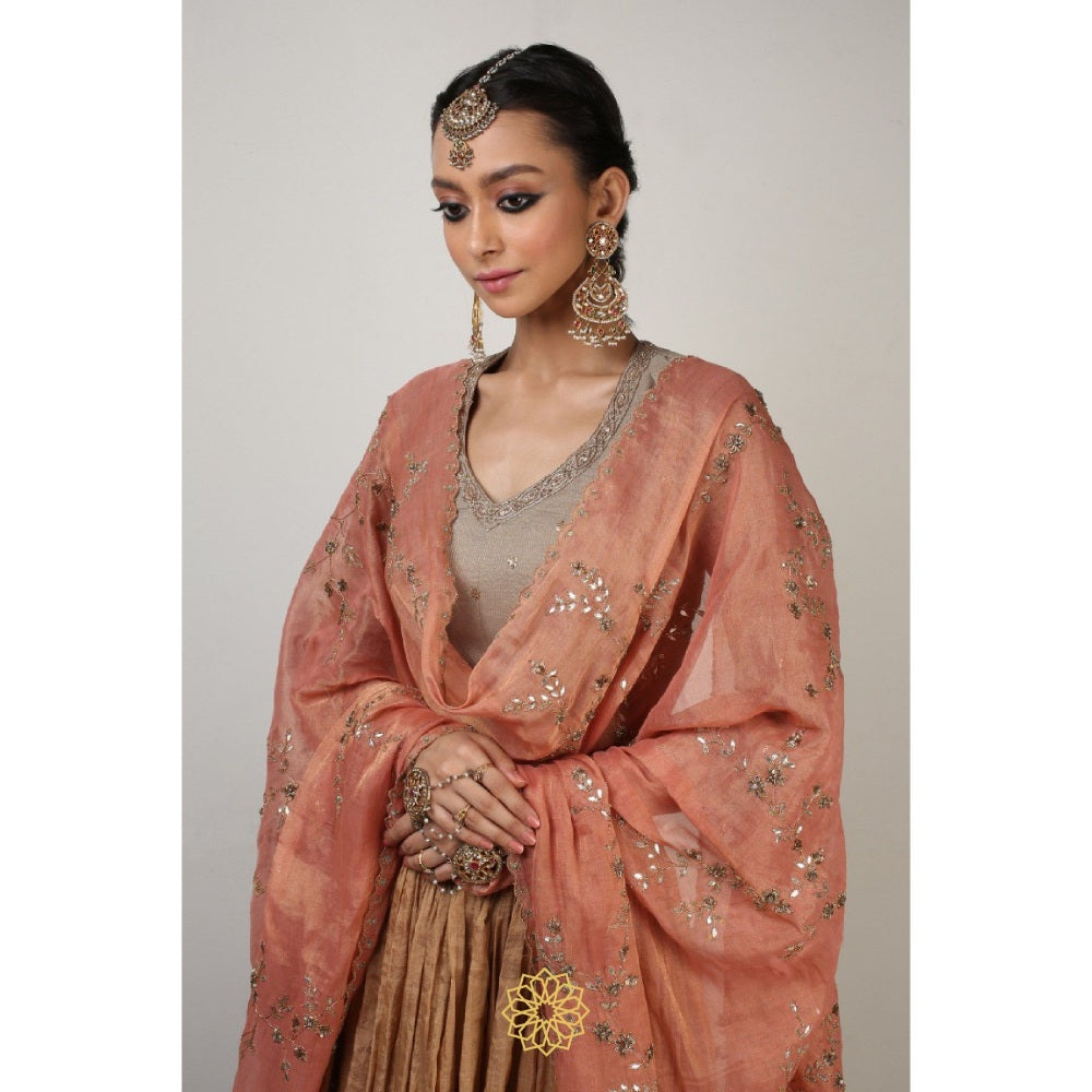 Rhua India Multi-Colour Rysa Lehenga with Blouse and Dupatta (Set of 3)