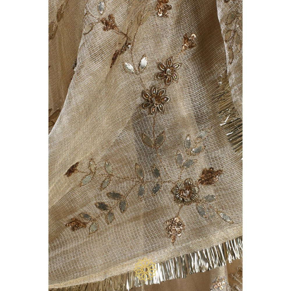 Rhua India Aqua Tani Lehenga with Blouse and Dupatta (Set of 3)