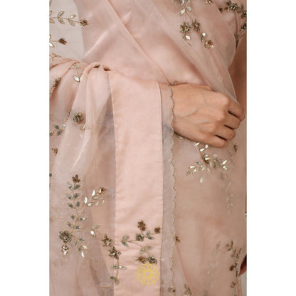 Rhua India Pink Suhani Classical Saree with Stitched Blouse and Petticoat
