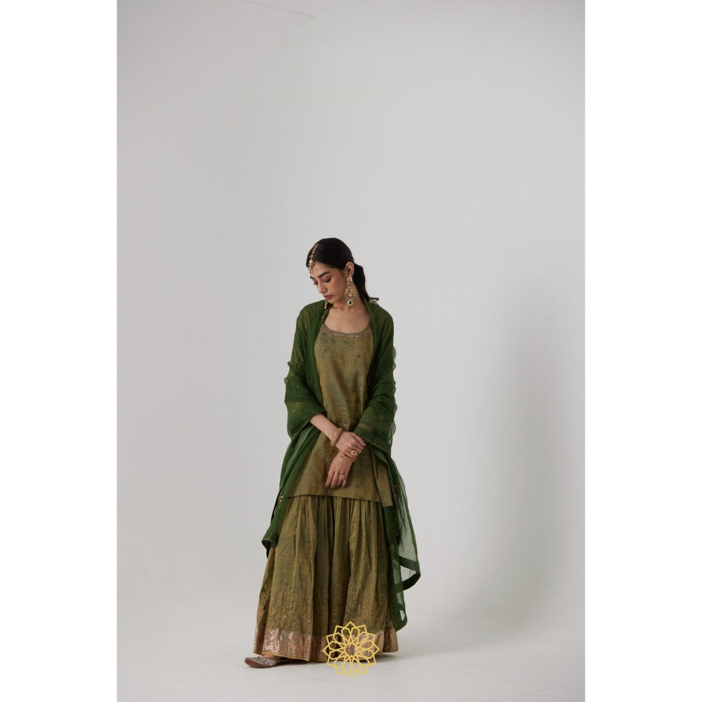 Rhua India Green Nirja Short Kurta with Palazzo and Dupatta (Set of 3)
