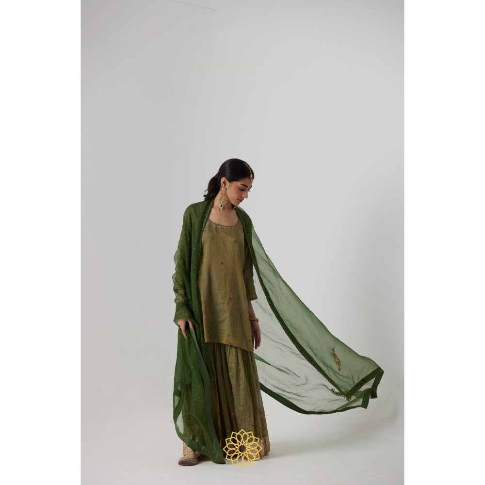 Rhua India Green Nirja Short Kurta with Palazzo and Dupatta (Set of 3)