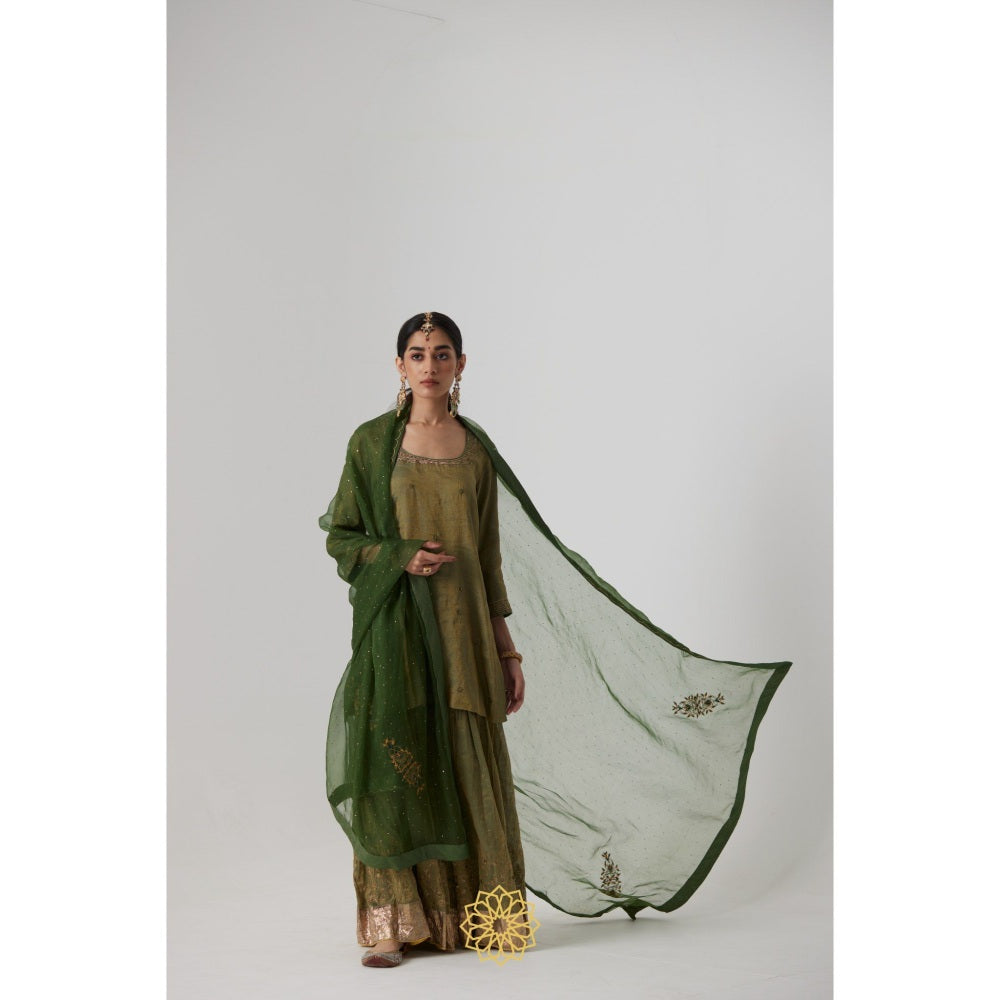 Rhua India Green Nirja Short Kurta with Palazzo and Dupatta (Set of 3)
