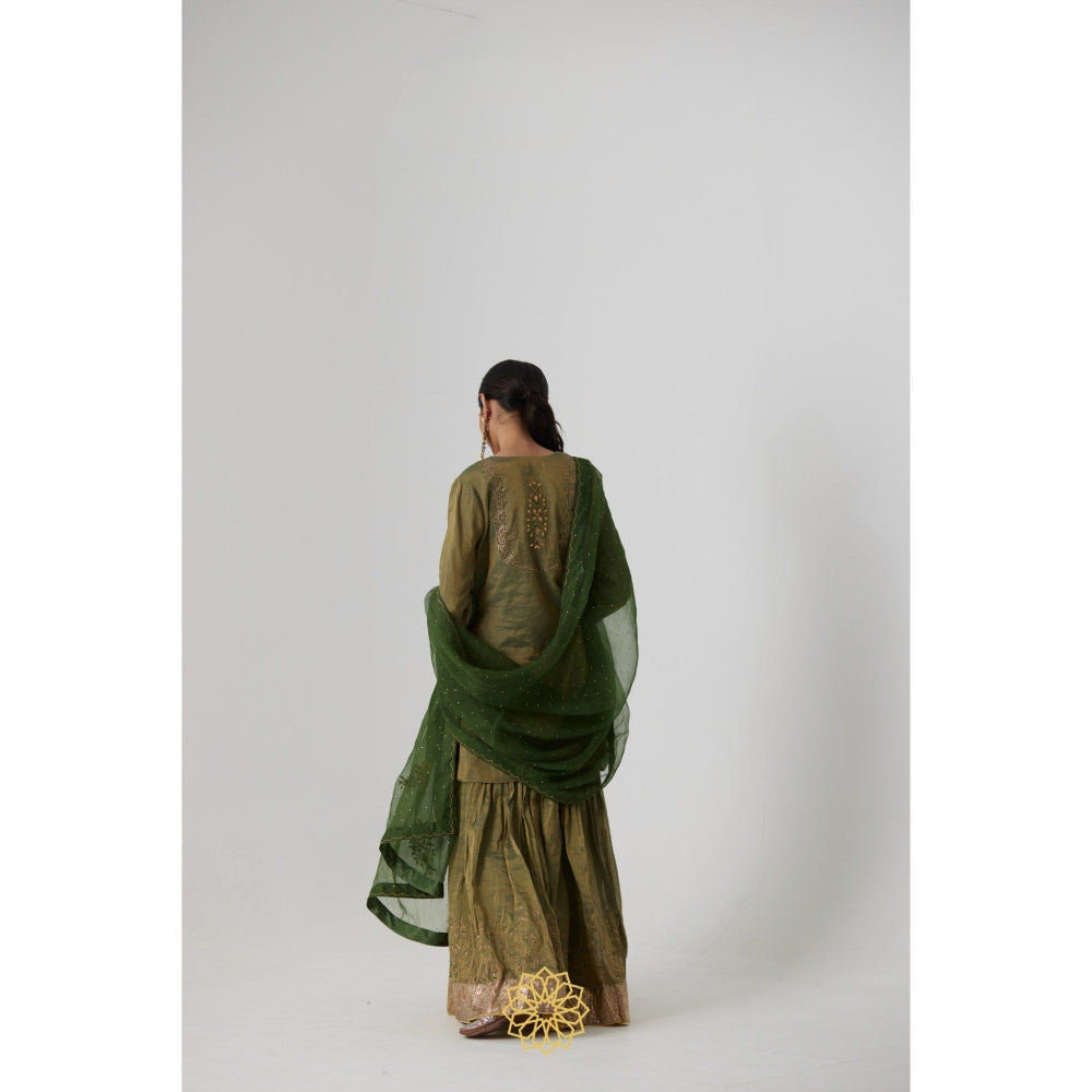 Rhua India Green Nirja Short Kurta with Palazzo and Dupatta (Set of 3)