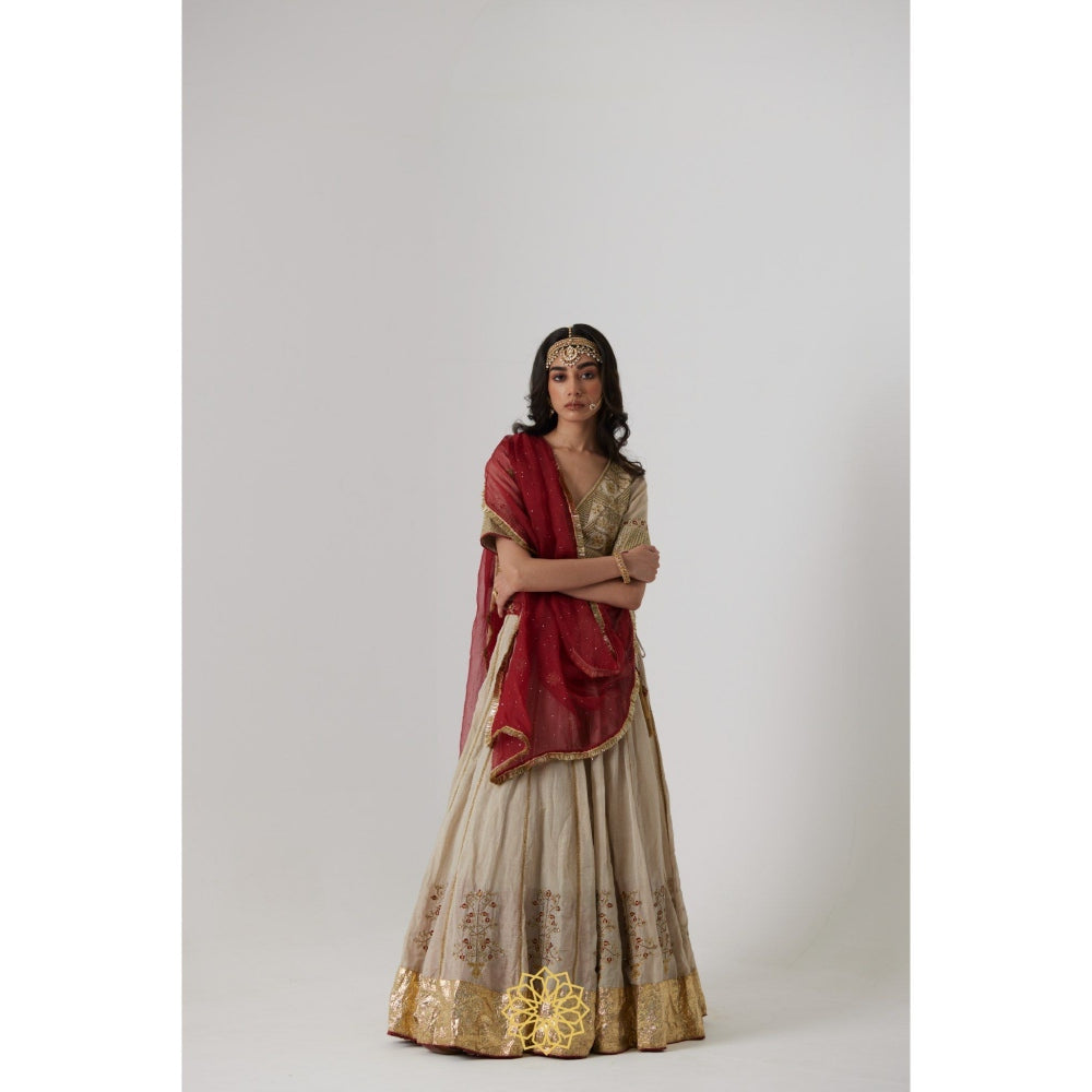 Rhua India Beige Kashvi Lehenga with Blouse and Dupatta (Set of 3)