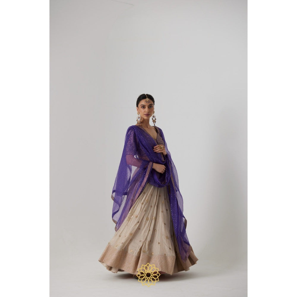 Rhua India Purple Janaki Lehenga with Blouse and Dupatta (Set of 3)