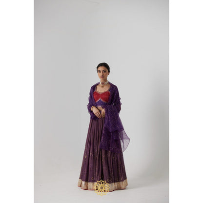 Rhua India Purple Dipta Lehenga with Blouse and Dupatta (Set of 3)