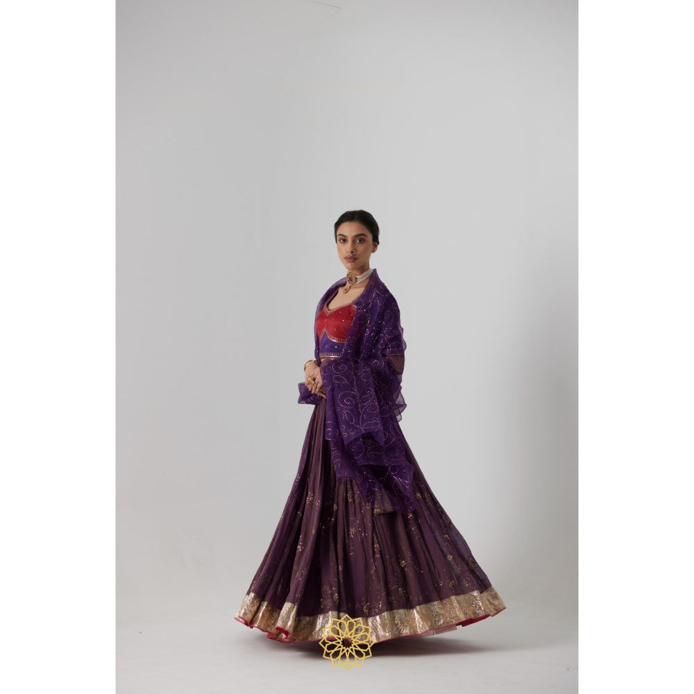 Rhua India Purple Dipta Lehenga with Blouse and Dupatta (Set of 3)