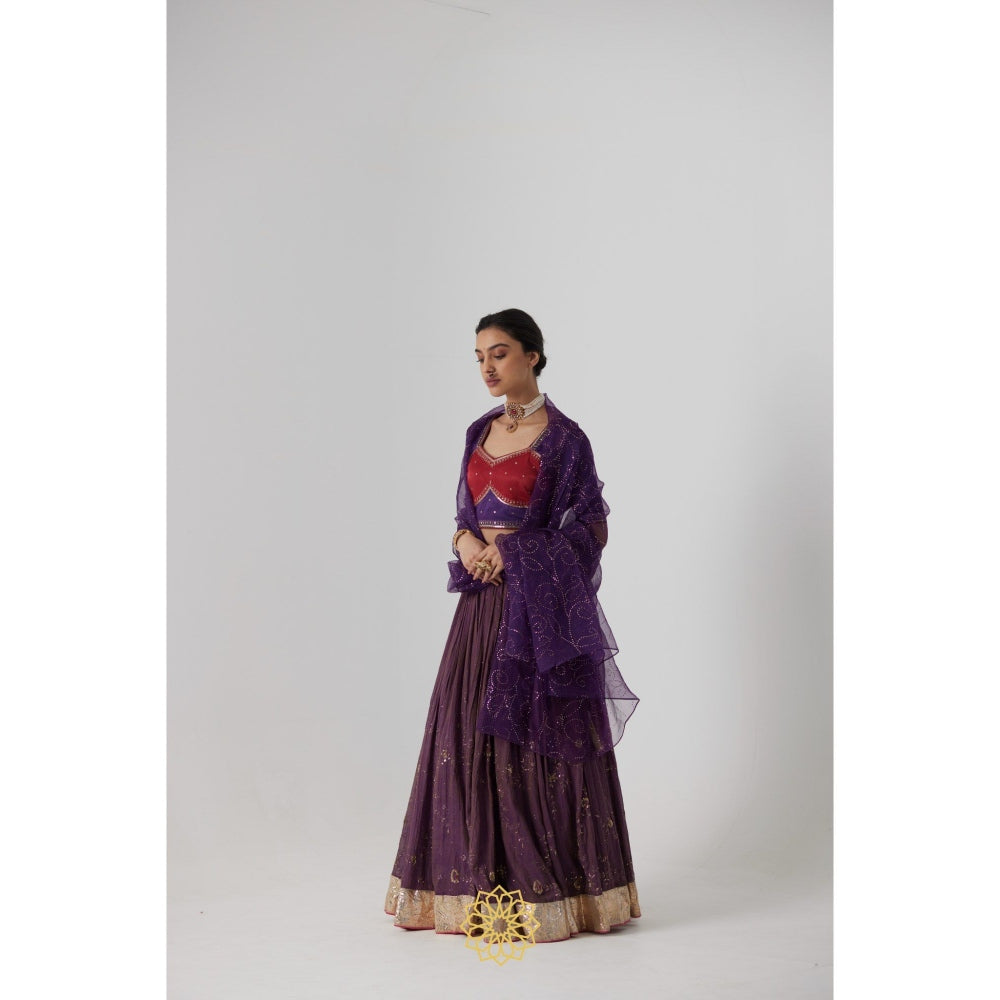 Rhua India Purple Dipta Lehenga with Blouse and Dupatta (Set of 3)