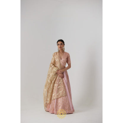 Rhua India Pink Aachal Lehenga with Blouse and Dupatta (Set of 3)