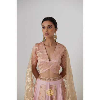 Rhua India Pink Aachal Lehenga with Blouse and Dupatta (Set of 3)