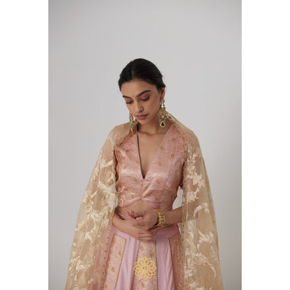Rhua India Pink Aachal Lehenga with Blouse and Dupatta (Set of 3)