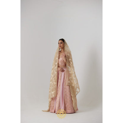 Rhua India Pink Aachal Lehenga with Blouse and Dupatta (Set of 3)