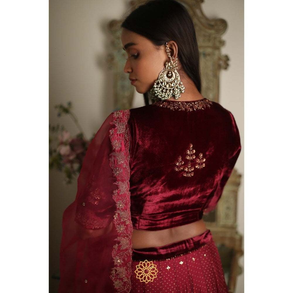 Rhua India Earthy Red Lehenga with Blouse and Dupatta (Set of 3)