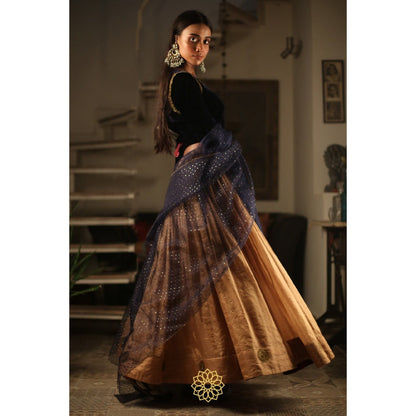 Rhua India Navy Blue Deep Blue Lehenga with Blouse and Dupatta (Set of 3)