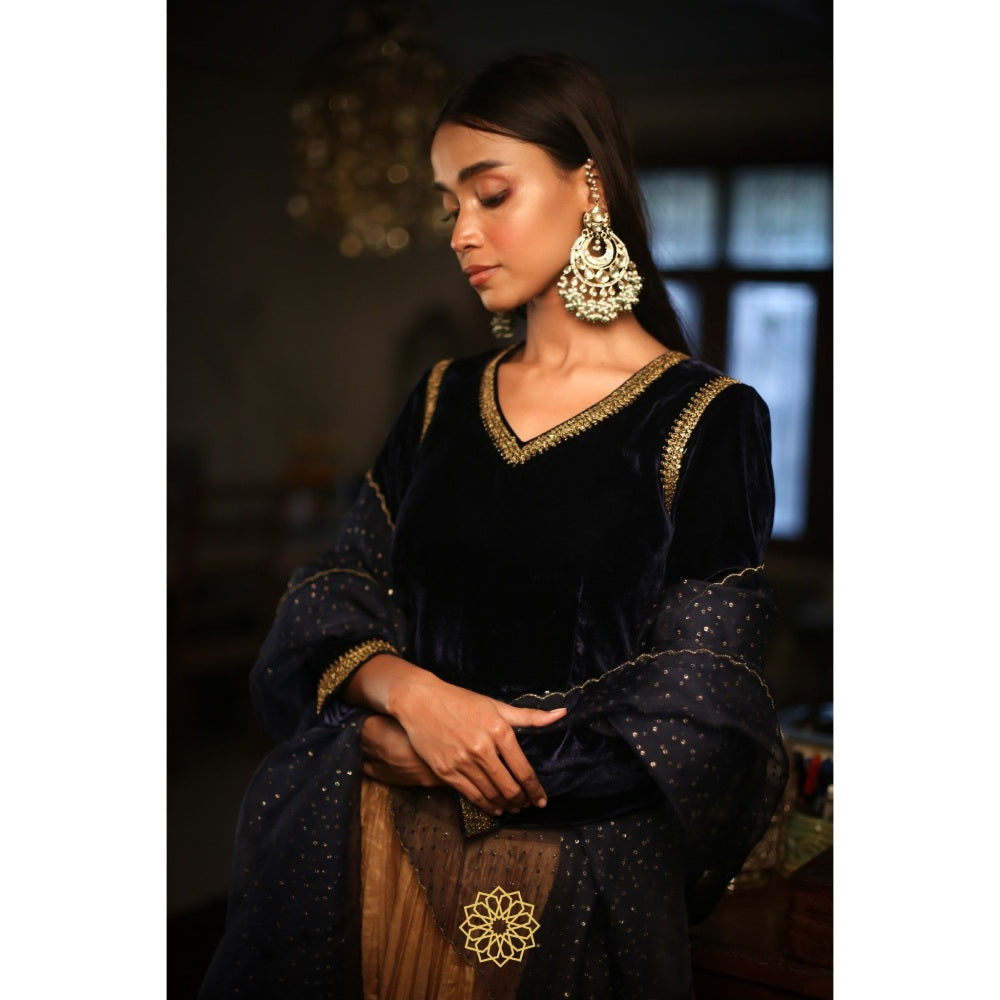 Rhua India Navy Blue Deep Blue Lehenga with Blouse and Dupatta (Set of 3)
