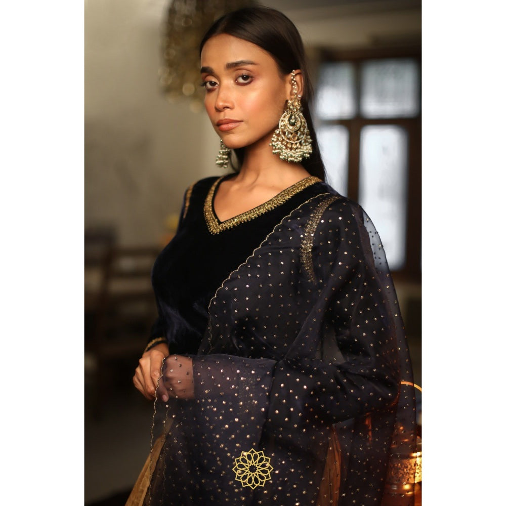 Rhua India Navy Blue Deep Blue Lehenga with Blouse and Dupatta (Set of 3)