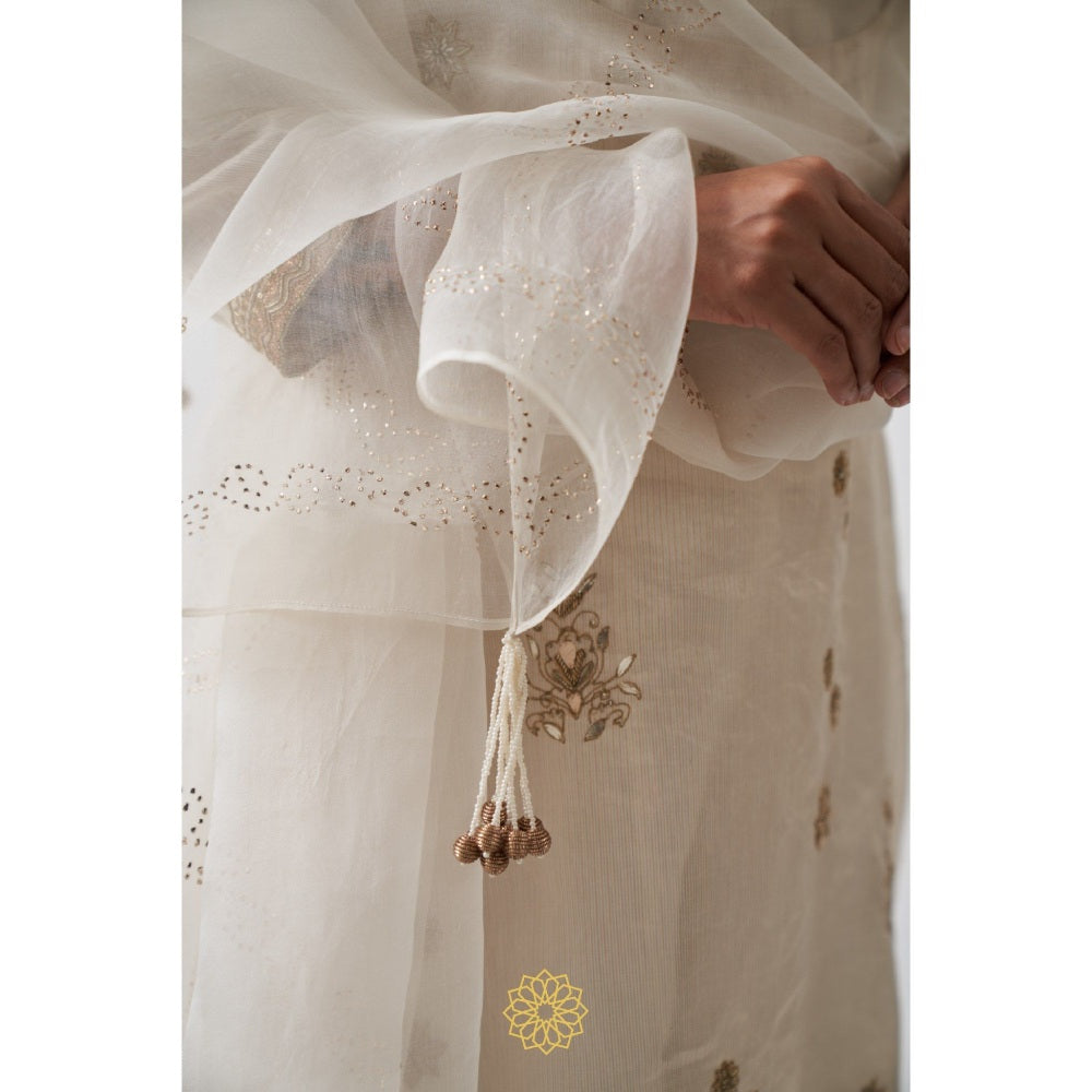 Rhua India White Tarini Palazzo with Kurta and Dupatta (Set of 3)