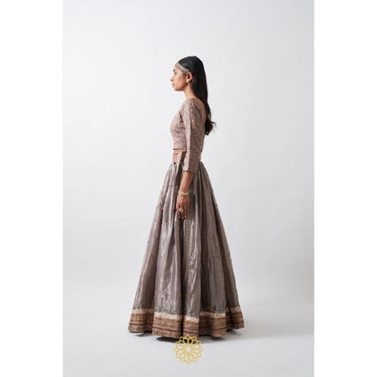 Rhua India Taupe Anaita Lehenga with Blouse and Dupatta (Set of 3)