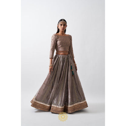 Rhua India Taupe Anaita Lehenga with Blouse and Dupatta (Set of 3)