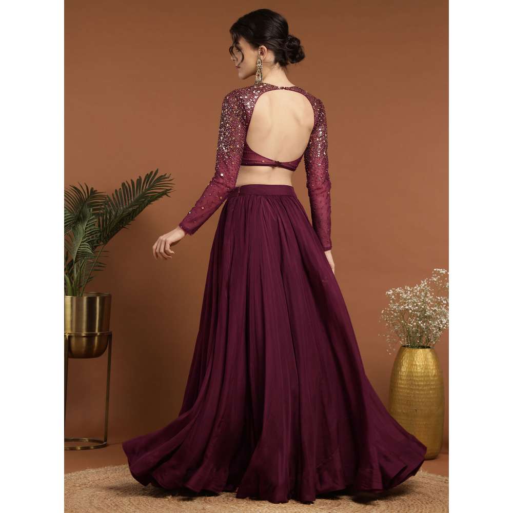 RIRASA Padmahasta Organza and Net Wine Lehenga with Blouse (Set of 2)