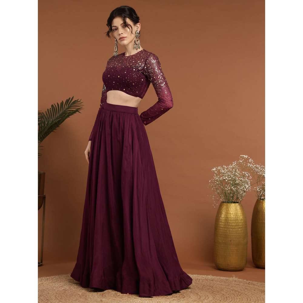 RIRASA Padmahasta Organza and Net Wine Lehenga with Blouse (Set of 2)