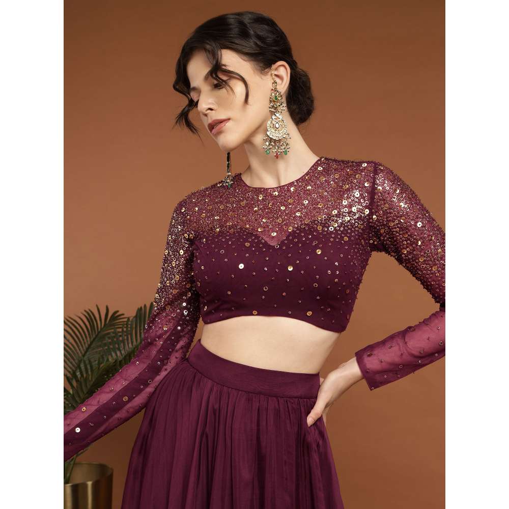 RIRASA Padmahasta Organza and Net Wine Lehenga with Blouse (Set of 2)
