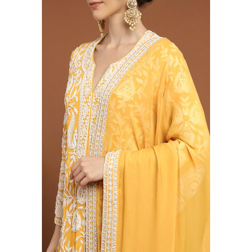 RIRASA Mohish Yellow Kurta With Pant And Dupatta