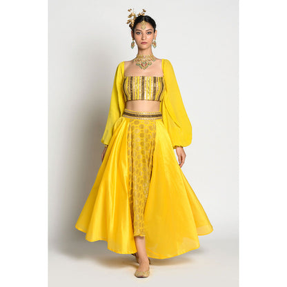 RISHI & VIBHUTI Amber Drop Top and Lehenga (Set of 2)