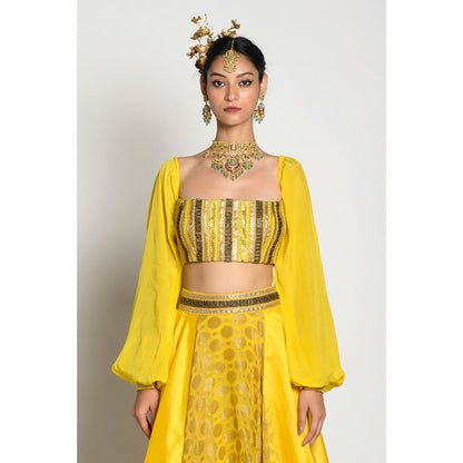 RISHI & VIBHUTI Amber Drop Top and Lehenga (Set of 2)