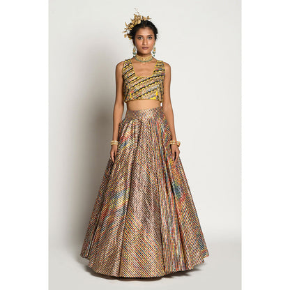 RISHI & VIBHUTI RV Specturem Skirt and Amber Blouse (Set of 2)