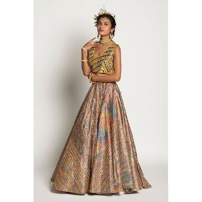 RISHI & VIBHUTI RV Specturem Skirt and Amber Blouse (Set of 2)