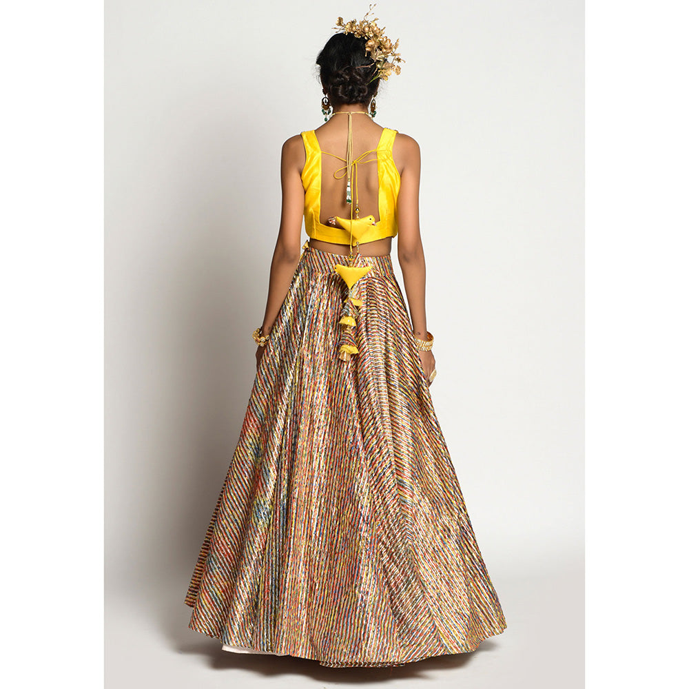 RISHI & VIBHUTI RV Specturem Skirt and Amber Blouse (Set of 2)