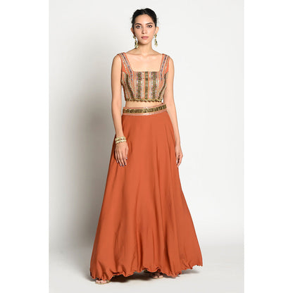 RISHI & VIBHUTI Aamya Blouse and Skirt (Set of 2)