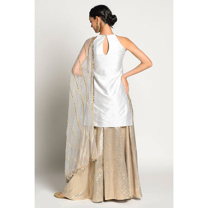 RISHI & VIBHUTI Erica Kurta and Skirt with Dupatta (Set of 3)