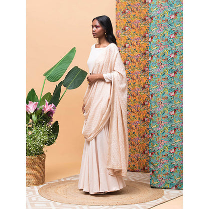 RISHI & VIBHUTI Kate Mate Rose Gold Saree with Stitched Blouse