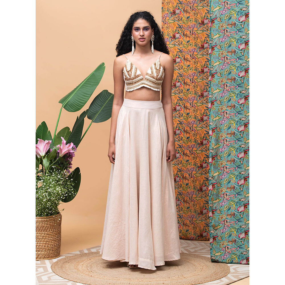 RISHI & VIBHUTI Touch of Rose Lehenga (Set of 3)