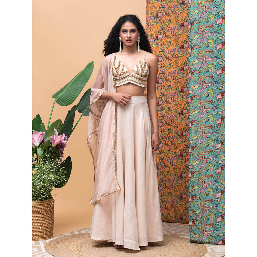 RISHI & VIBHUTI Touch of Rose Lehenga (Set of 3)